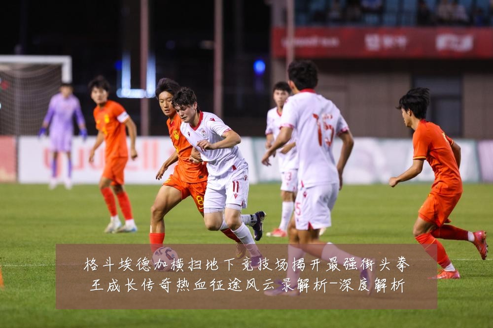 格斗埃德加横扫地下竞技场揭开最强街头拳王成长传奇热血征途风云录解析-深度解析